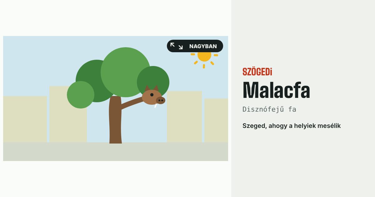 Malacfa